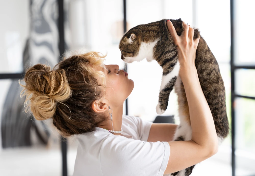 video camera for watching pets