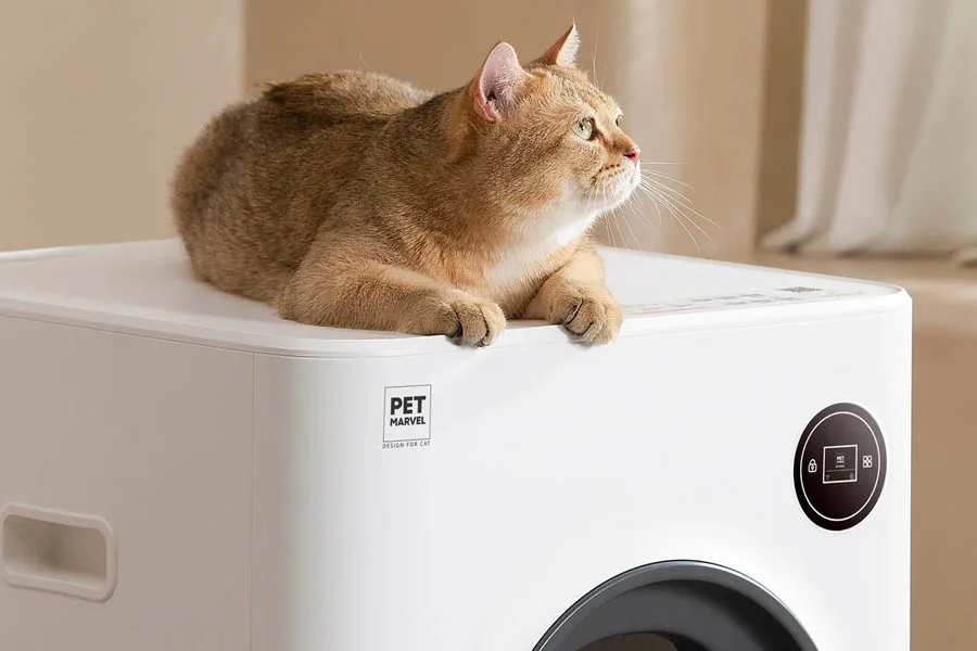 kitty litter box that cleans itself